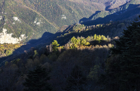 日出东山