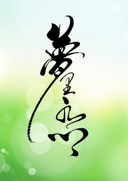 夢(mèng)里水鄉(xiāng)