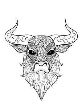 十二生肖牛插畫(huà)牛頭
