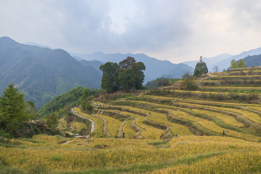 杭州临安指南村秋色