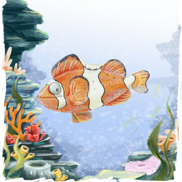 海底世界海洋魚類小丑魚環(huán)保