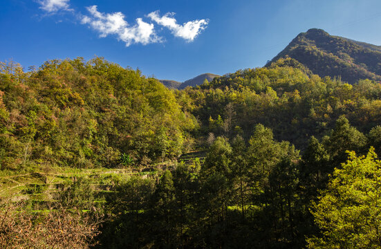 荆山山脉