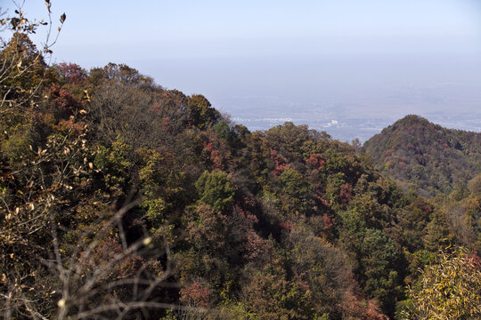 群山秋色