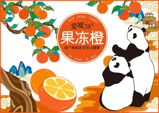 果凍橙包裝