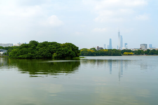 广州海珠湖湿地公园和城市天际线