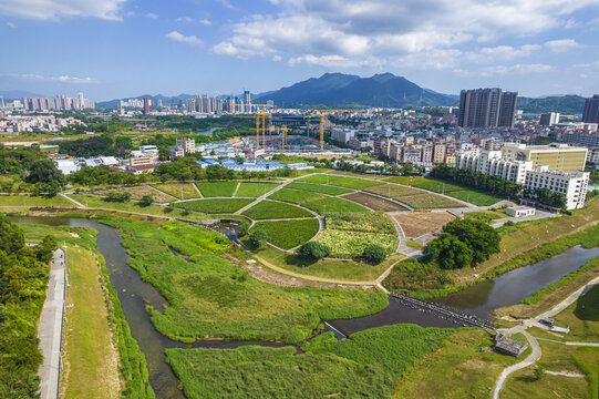 深圳坪山河湿地公园