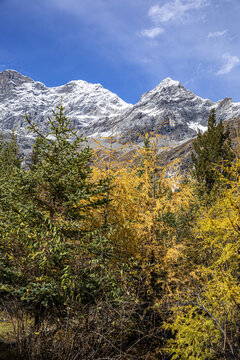 秋天的四姑娘山景区风光