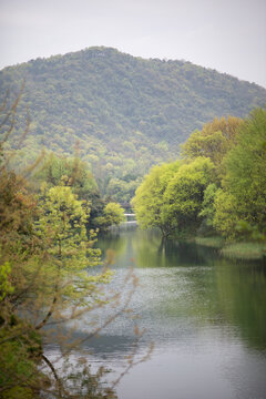 杭州浴鹄湾乌龟潭