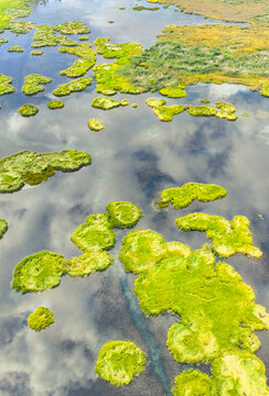 云南丽江泸沽湖草海湿地