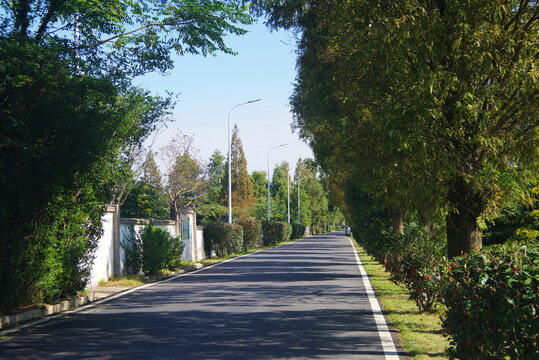 乡镇公路