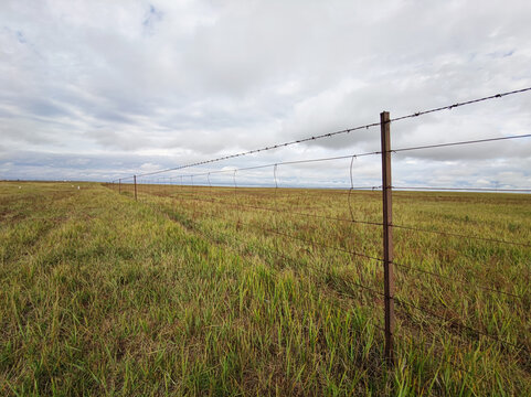 草原铁丝网围栏深草牧场