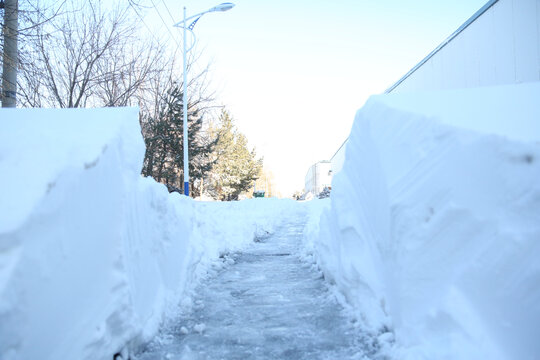 道路上的雪