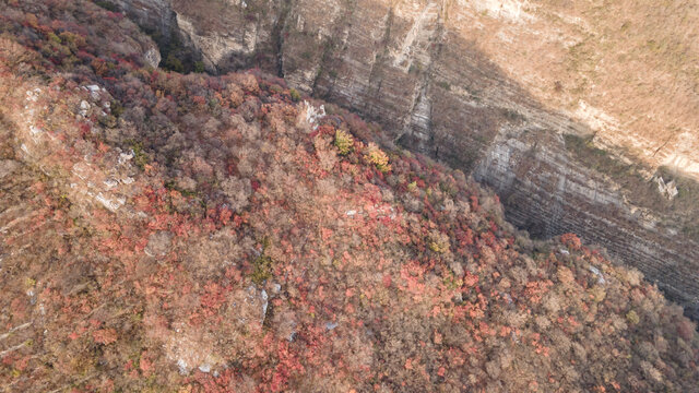 航拍北京房山坡峰岭秋日红叶