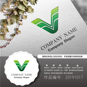 字母V標(biāo)志