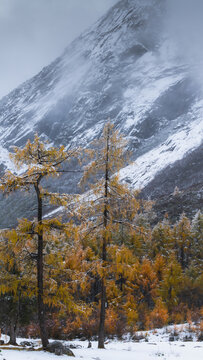 毕棚沟雪山