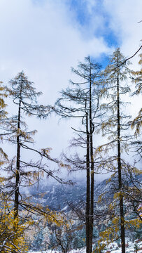 毕棚沟雪山