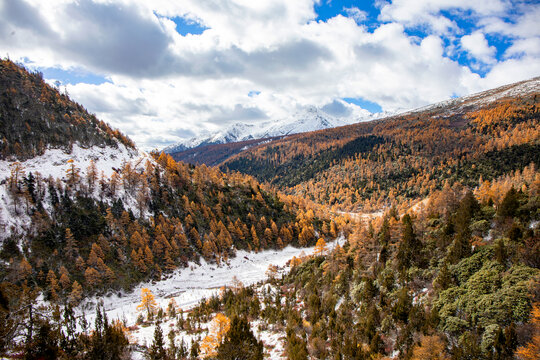 白马雪山