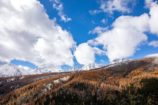 白马雪山