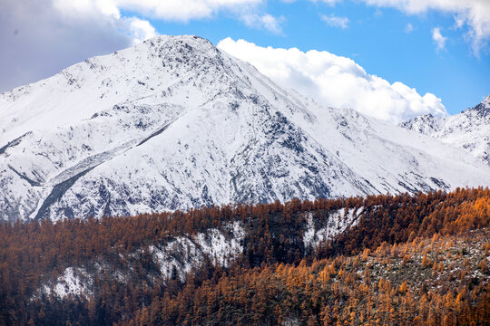 白马雪山