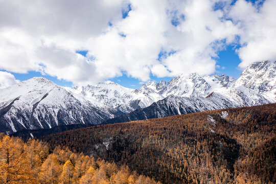 白马雪山