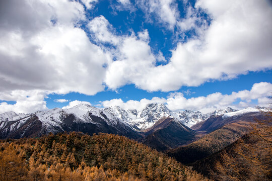 白马雪山