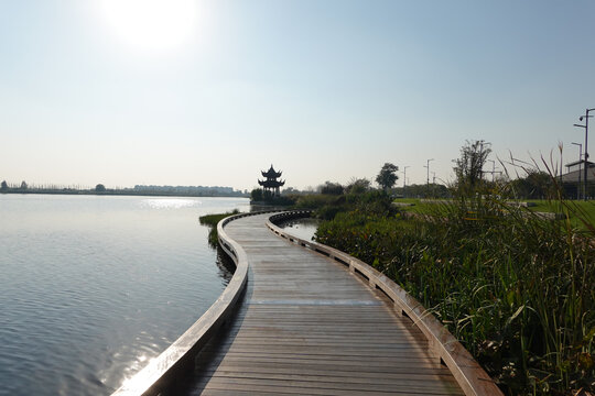 祥符荡生态湿地公园