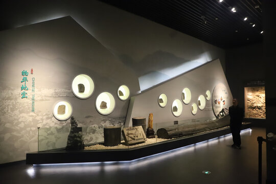 博物馆化石