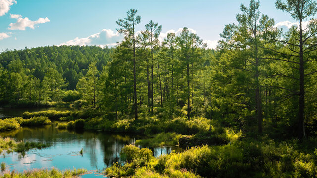 森林湖泊自然生态风景