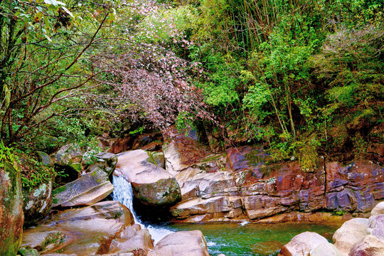 婺源大鄣山