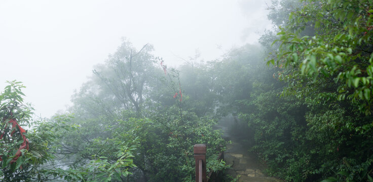 大雾弥漫的山顶