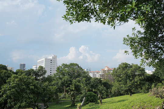 东莞城市的风景