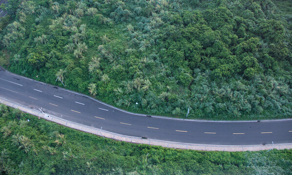 俯拍密林中的道路