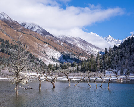 四姑娘山双桥沟风光