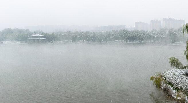 烟雨蒙蒙曲江池