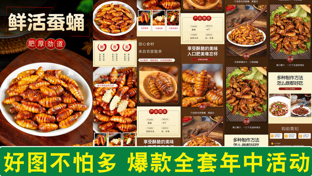 鮮活蠶蛹詳情