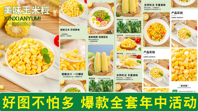 玉米粒詳情
