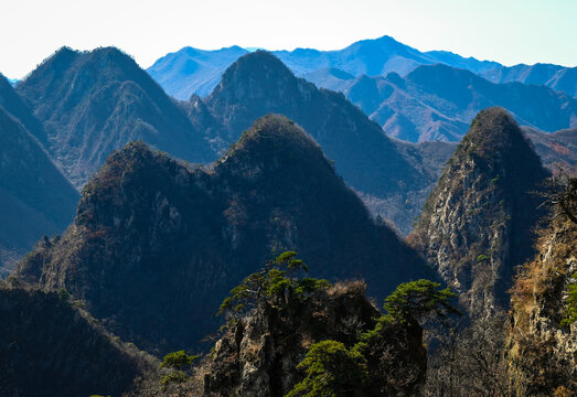 秋日山景