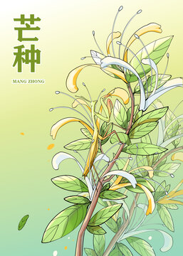 節(jié)氣芒種