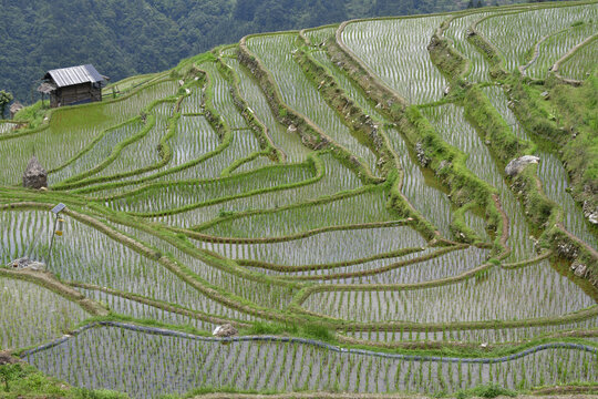 梯田