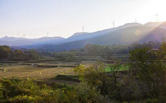 农田土地