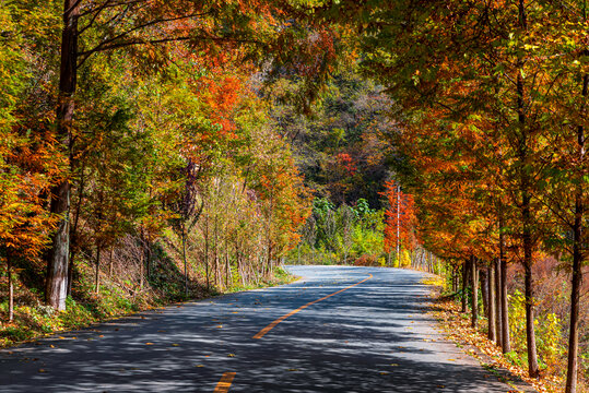 陕西汉中最美乡村公路高江路秋景