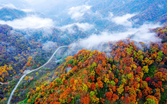 陕西秦岭秋色秋景