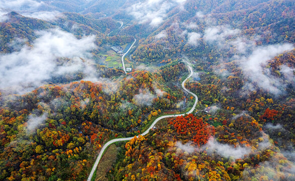 陕西秦岭秋色秋景