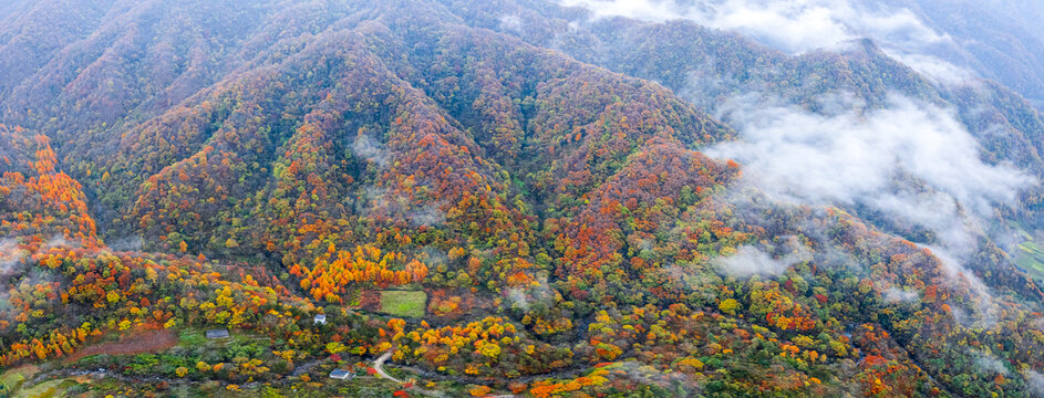 陕西秦岭秋色秋景