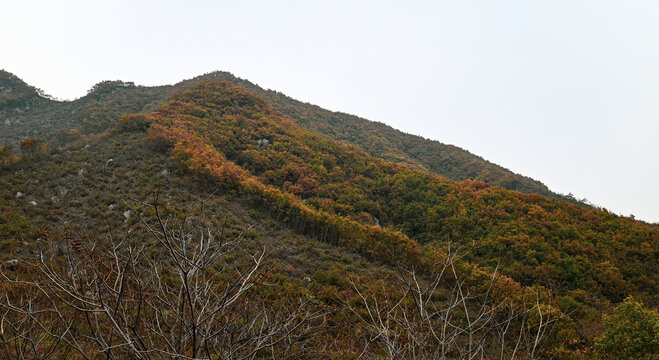 秋天的山景