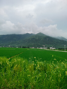 乡村美景