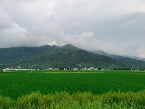 乡村田野