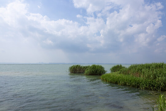 太湖湿地公风光