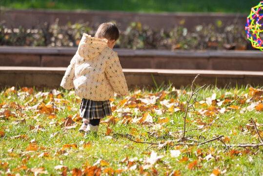 秋季在户外玩耍的孩子