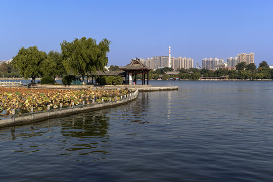 大明湖翠柳屏岛